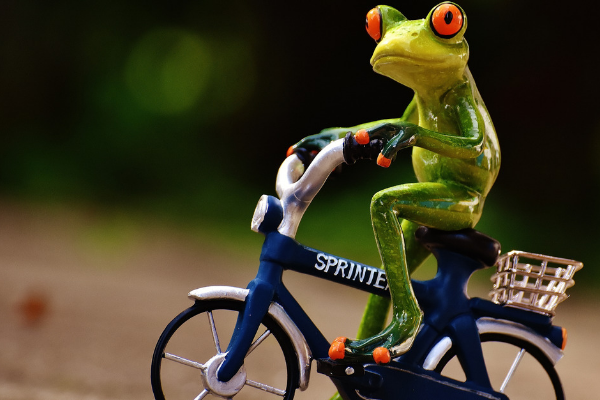 Mr. Toad’s Wild Ride in Startup Land and other Sacramento Startup Happenings