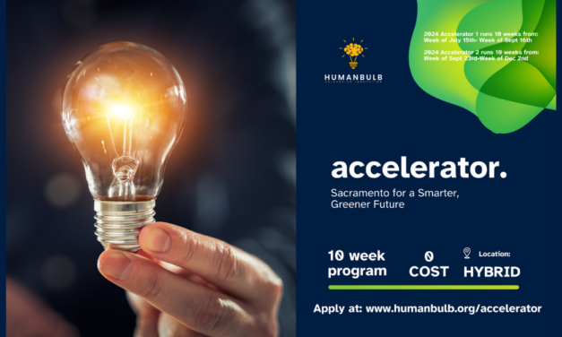 HumanBulb’s Accelerator: Driving Sustainable